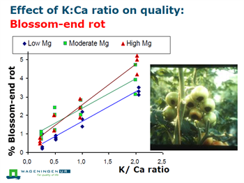 The importance of maintaining the right ratio between cations in plant nutritioz